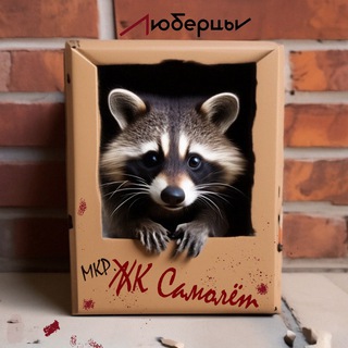 Самолётовка ✈️
