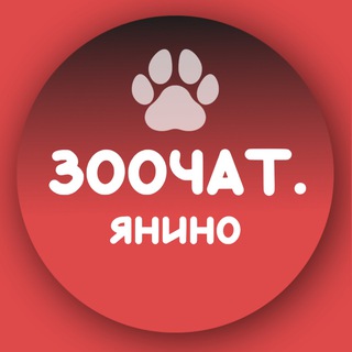ЗооЧат Янино