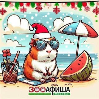 3ооАфиша🐾