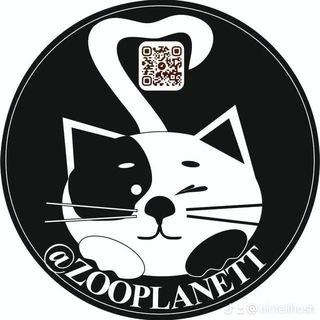 Кошачьи истории....🐾