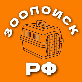 Зоопоиск РФ • потеряшки при перевозке