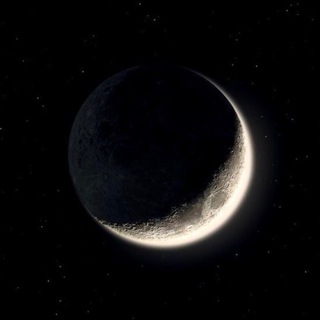 ZURU🌙