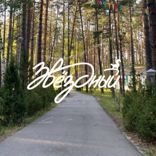 в звездном любят