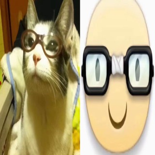 eraemo
